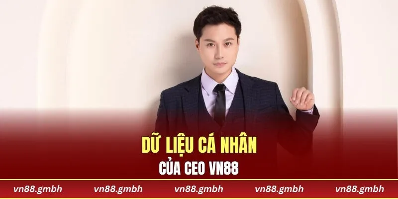Dữ liệu cá nhân CEO VN88